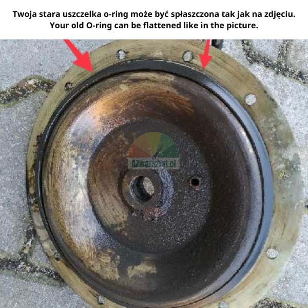Alte flachgedrückte O-Ring-Dichtung in einem Metallgehäuse mit roten Pfeilen, die auf die Abflachung hinweisen.