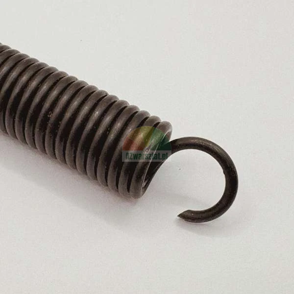 Nahaufnahme einer schwarzen Zugfeder aus Metall mit einem Haken am Ende auf hellem Untergrund