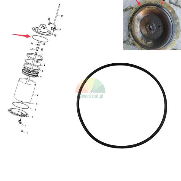 Schwarzer Gummi-O-Ring Dichtung, dargestellt in einer technischen Explosionszeichnung und einem Foto eines mechanischen Teils.