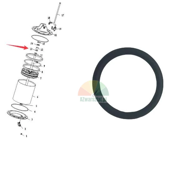 Schwarzer Gummi-O-Ring-Dichtring neben einer technischen Explosionszeichnung eines Bremszylinders mit einem roten Pfeil, der auf die Position der Dichtung zeigt.