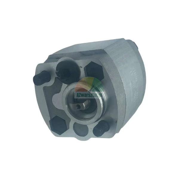 Hydraulische Zahnradpumpe mit Aluminiumgehäuse und sichtbarer Antriebswelle.