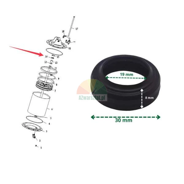 Schwarze Gummidichtung mit Abmessungen: Außendurchmesser 30 mm, Innendurchmesser 19 mm, Höhe 8 mm, neben einer technischen Zeichnung der Montageposition dargestellt.