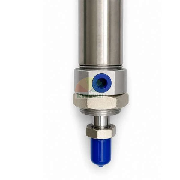 Nahaufnahme des unteren Teils eines pneumatischen Metallzylinders mit einem blauen Luftanschluss und einer blauen Schutzkappe auf der Kolbenstange.