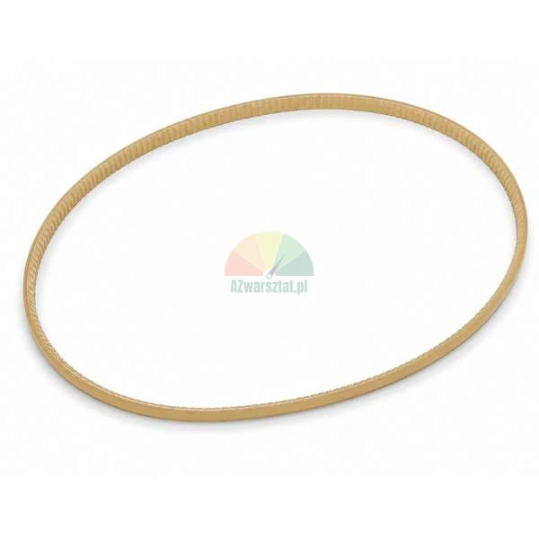 Beiger Zahnriemen in ovaler Form auf weißem Hintergrund.