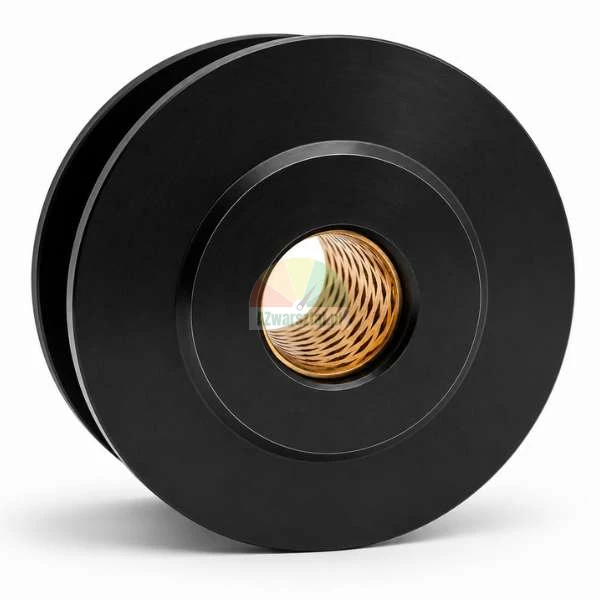 Schwarze Riemenscheibe mit einer Bronzebuchse im Inneren, isoliert auf weißem Hintergrund.