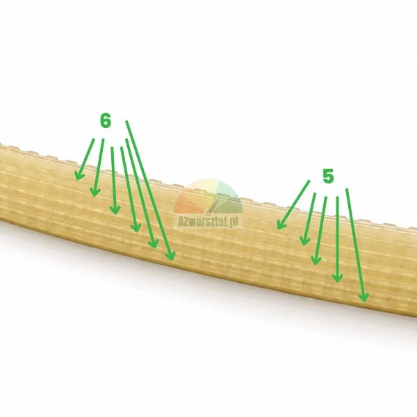 Gelber Keilrippenriemen mit grünen Pfeilen und den Zahlen 5 und 6 zur Erläuterung der Rippenanzahl.