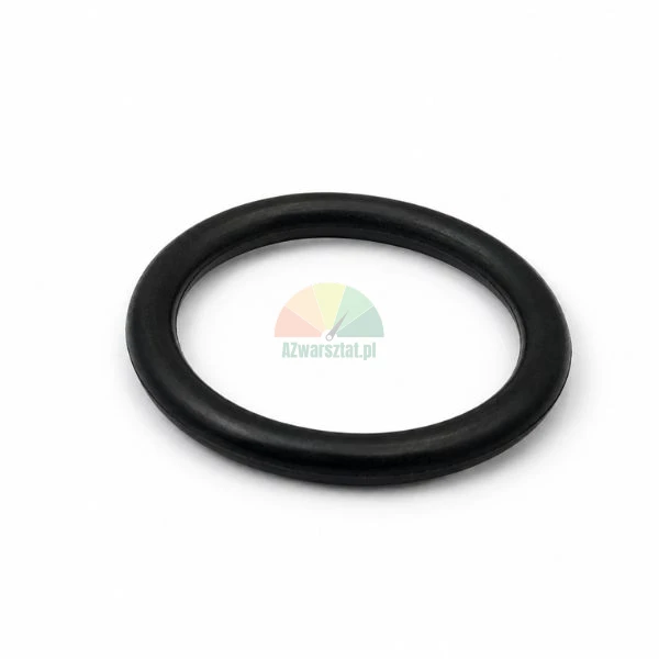Schwarzer Gummi-O-Ring Dichtungsring auf weißem Hintergrund