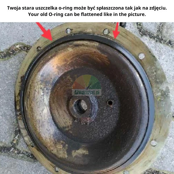 Verschlissener und abgeflachter Gummi-O-Ring in einem metallischen Pumpendeckel, markiert mit roten Pfeilen.